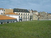 Exemple de réalisation en début de pousse